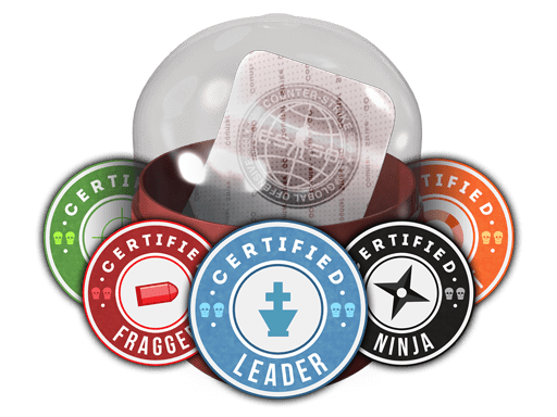 Team Roles Capsule