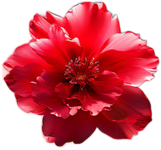 Red Flower